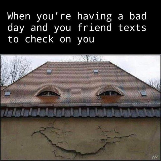 WholesomeMeme's tweet photo. https://t.co/gALM9FkCDr