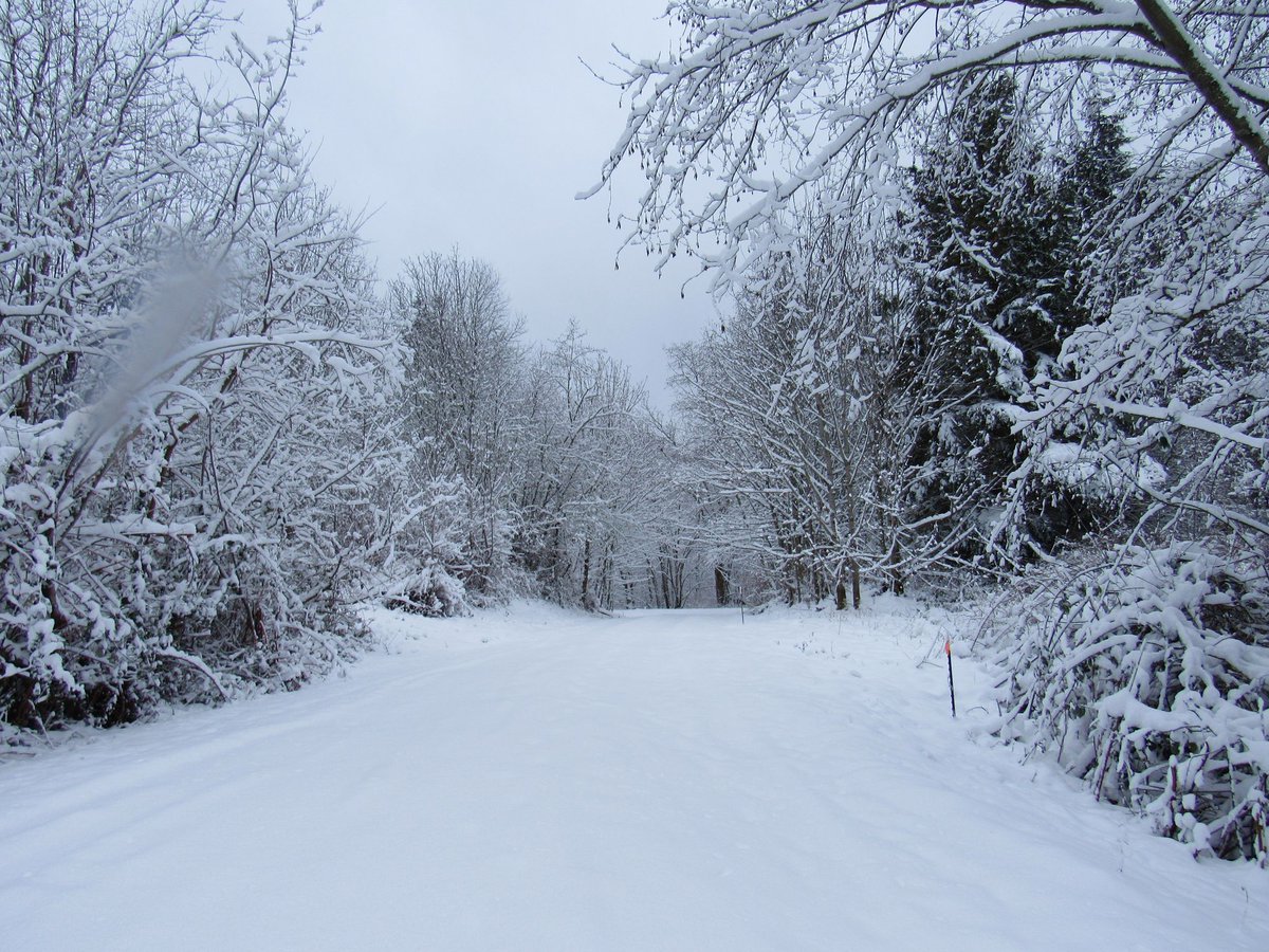 Ripp Black tweet media