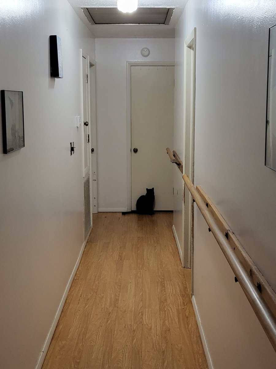 DruidCraftProps's tweet image. Miss Chichi Rodriguez demands to know why the door to the guest room isn't open.
#BlackCat #voidkitty #towongfoo