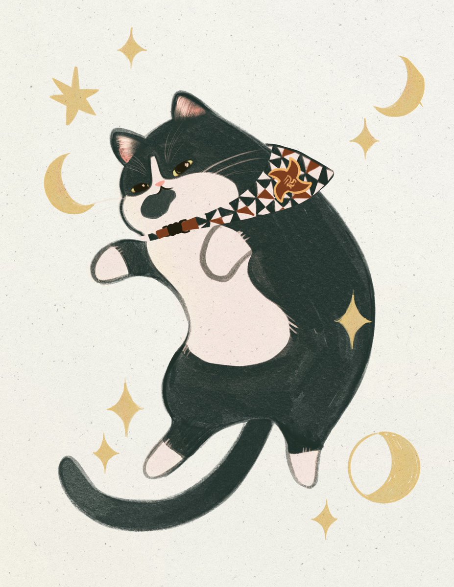 chocolettchoo's tweet photo. Cat kitty cat cat kitty cat cat https://t.co/MAXq3Qij7L
