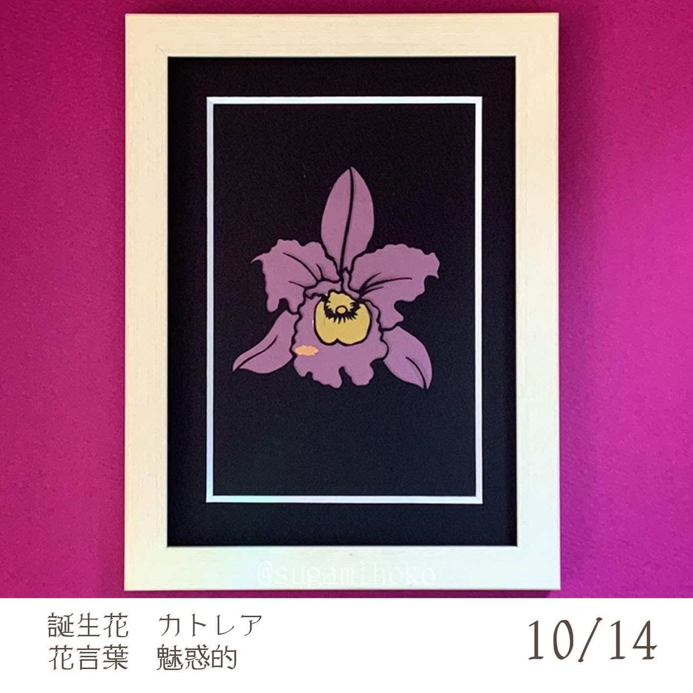 すがみほこ 毎日切り絵で誕生花 10月14日がお誕生日の方 おめでとうございます 誕生花の切り絵のプレゼント 10月14日の誕生花はカトレア 花言葉は 魅惑的 だそうです 笑顔いっぱいのステキな一年になりますように T Co V9igq2tbak