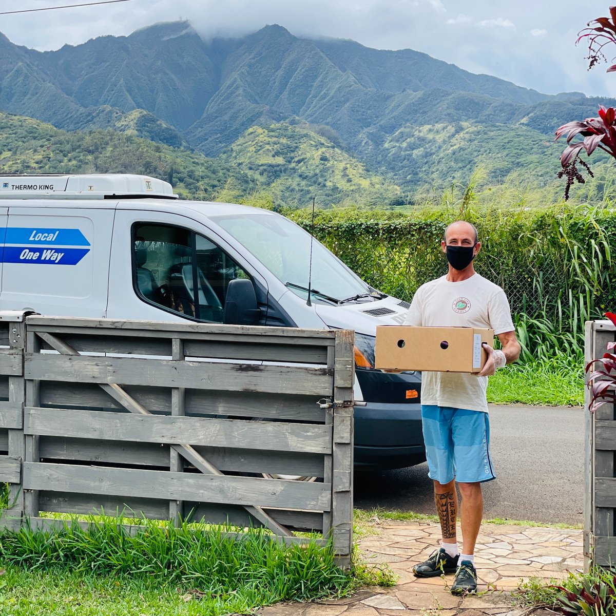 farmlinkhawaii's tweet photo. We now offer free home delivery to the entire island of Oʻahu every Sundays! (We previously only delivered to Town and Kailua on Sundays.) 

Get free delivery of high quality local produce, eggs, meat, and snacks every Sunday wherever you're lounging in your pajamas. https://t.co/uDOXV05HzN