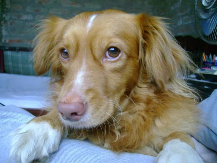 Marco Jair Trujillo tweet media