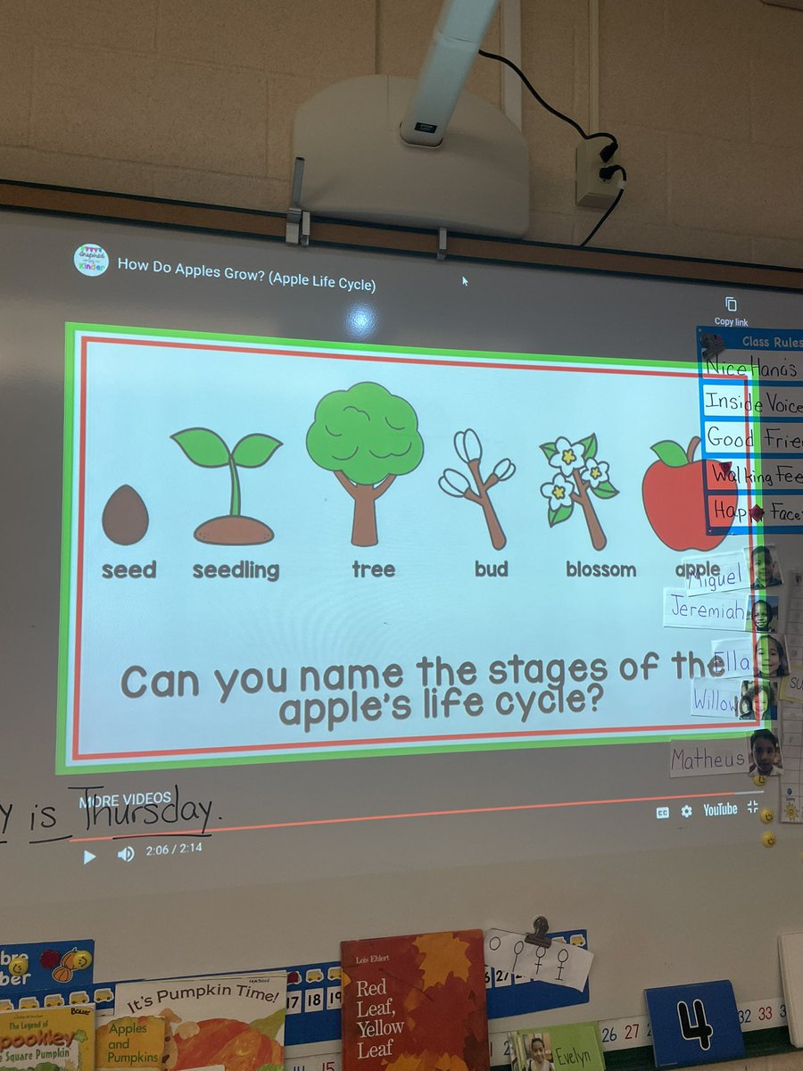 NatalieBauer20's tweet photo. Science eyes 👀 How does an Apple grow ? 🌳🍎🍏@jmfeclc #LBTogetherWeCan https://t.co/UjEvRQIt12