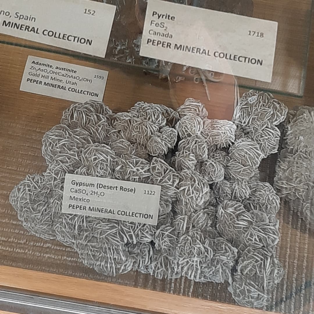 LexNex4's tweet photo. Took a walk around school Wednesday founds some cool rocks! As a geologist gotta say thems some cool rocks. 😎 https://t.co/pV7jyao12j