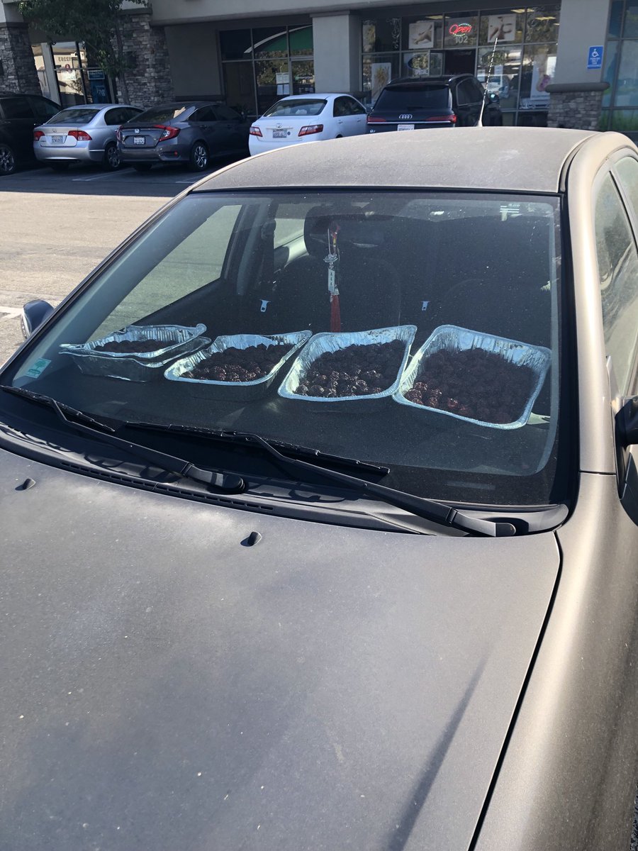 RodGilfry's tweet photo. Just seen in a SoCal parking lot: a new way warm your meatballs. (And the rear window has 4 more trays!) https://t.co/xGDARMlC6R