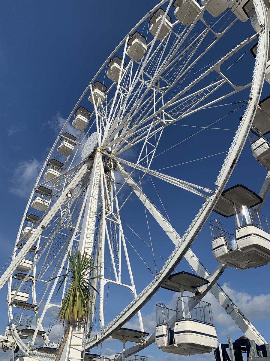 Yiting Lo tweet media