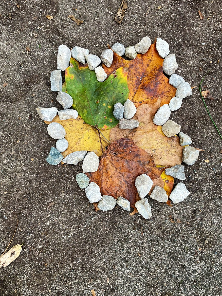 What a FANTASTIC day exploring the outdoors at the Pond Mills Environmental Ed Center with our <a href="/SACTVDSB/">Sir Arthur Currie PS</a> grade 5’s! 🍃🍂