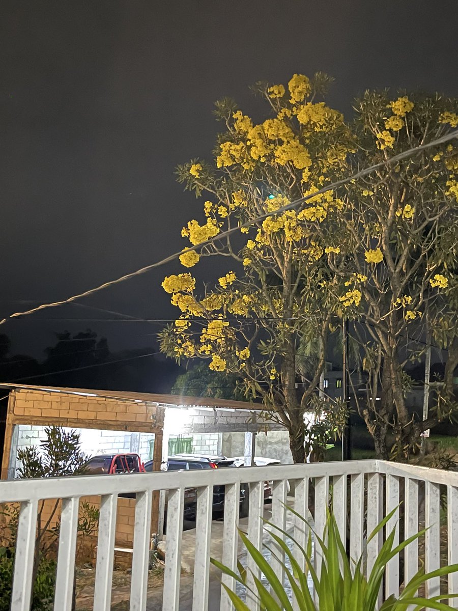 jaman sekarang … silaturahmi terasa berkurang. Tahlilan 2 tahun Bapak dikirim ke masjid, Panti Asuhan  dan menghindari kerumunan. Sampai kapan kekhawatiran berkumpul seperti 2, 3 tahun sebelumnya atau lebih? Waspada gelombang berikutnya! jangan lengah tetap waspada.