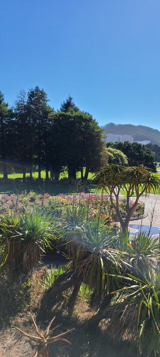 jsilverman36's tweet image. Helloooo San Francisco!