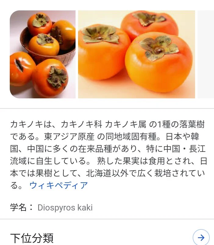 @marimelon1 柿は英語でも「KAKI」やん？ 