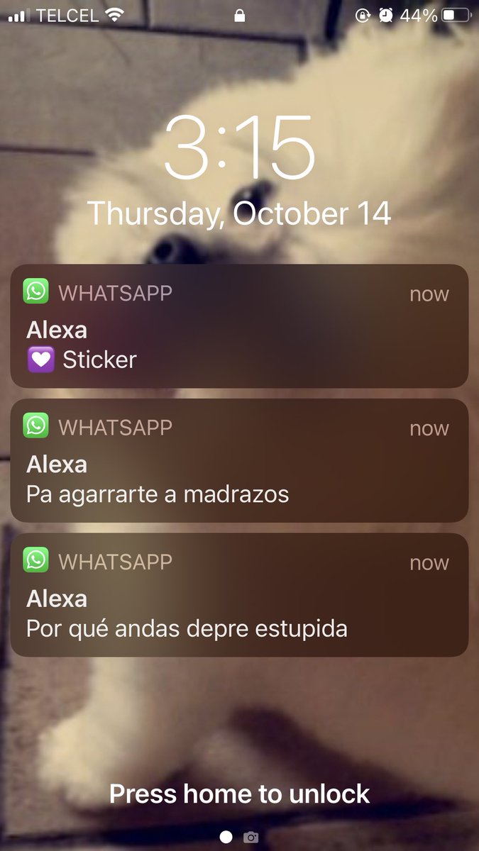 lesliequinones1's tweet image. Post your last selfie/ last screenshot/ last downloaded picture. That's your aesthetic #meaf