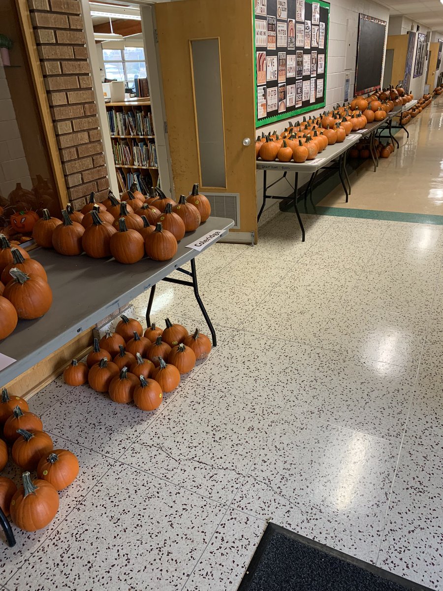 Grant Road School (@groadschool) on Twitter photo Thank you Amanda Benesh and Bright Eyes Dog Rescue for this amazing sea of pumpkins. We are thrilled to provide a pumpkin per student as a result of your donation! <a href="/RegPublicSchool/">Regina Public Schools</a> Thank you Amanda Benesh and Bright Eyes Dog Rescue for this amazing sea of pumpkins. We are thrilled to provide a pumpkin per student as a result of your donation! <a href="/RegPublicSchool/">Regina Public Schools</a>