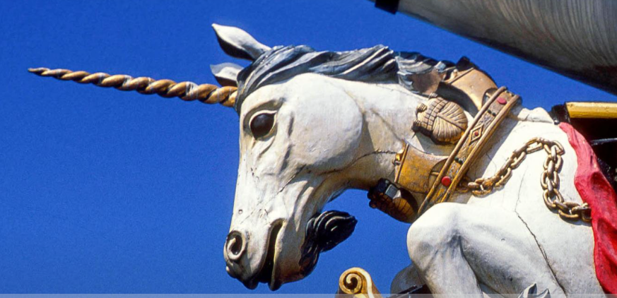 e_brailsford's tweet image. did you know that horses/unicorns have no collarbone so the front legs are not attached by joints ! they are just attached by Muscles &amp;amp; Ligaments #NoRestTillYes #ScottishIndependance