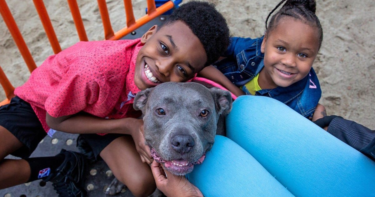 LeashrlyLife's tweet photo. October is Adopt-a-Shelter-Dog Month. Here are some tips for finding your new best friend.

#leashrlylife

Read on:  https://t.co/HaCDaDgpEk https://t.co/vLnw6kU4VJ