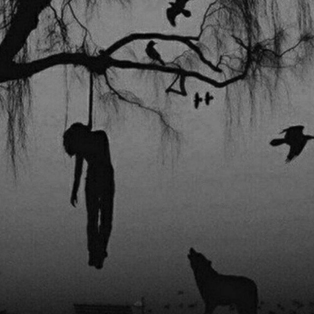 " منتصف الطريق هو الأصعب؛ يزول حماس البدايات، ويطفو على السطح سؤال الجدوى من الرحلة "