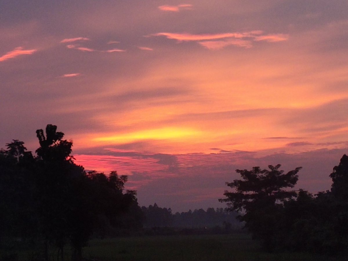 PranjalNath's tweet photo. When the Evening Sky shines.😍 https://t.co/I6hlYiVn64