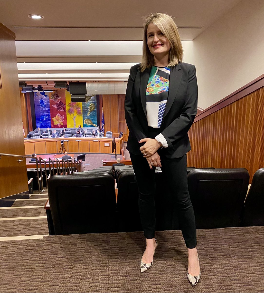 NYAGV1's tweet photo. Executive Dir. Rebecca Fischer testified before the NYS Assembly about #gunviolence solutions.
1) We need background checks on ammunition sales
2) We need #microstamping technology to trace crimes and hold dealers accountable
3) We need expanded investment in CVI programs https://t.co/ru6HBANpAq