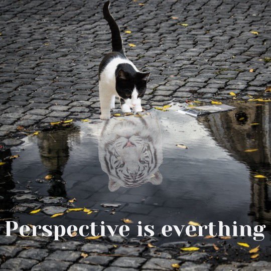 My daughter Megan is flexing her creative skills mixed with her amazing positivity! #DesignedWithCanva