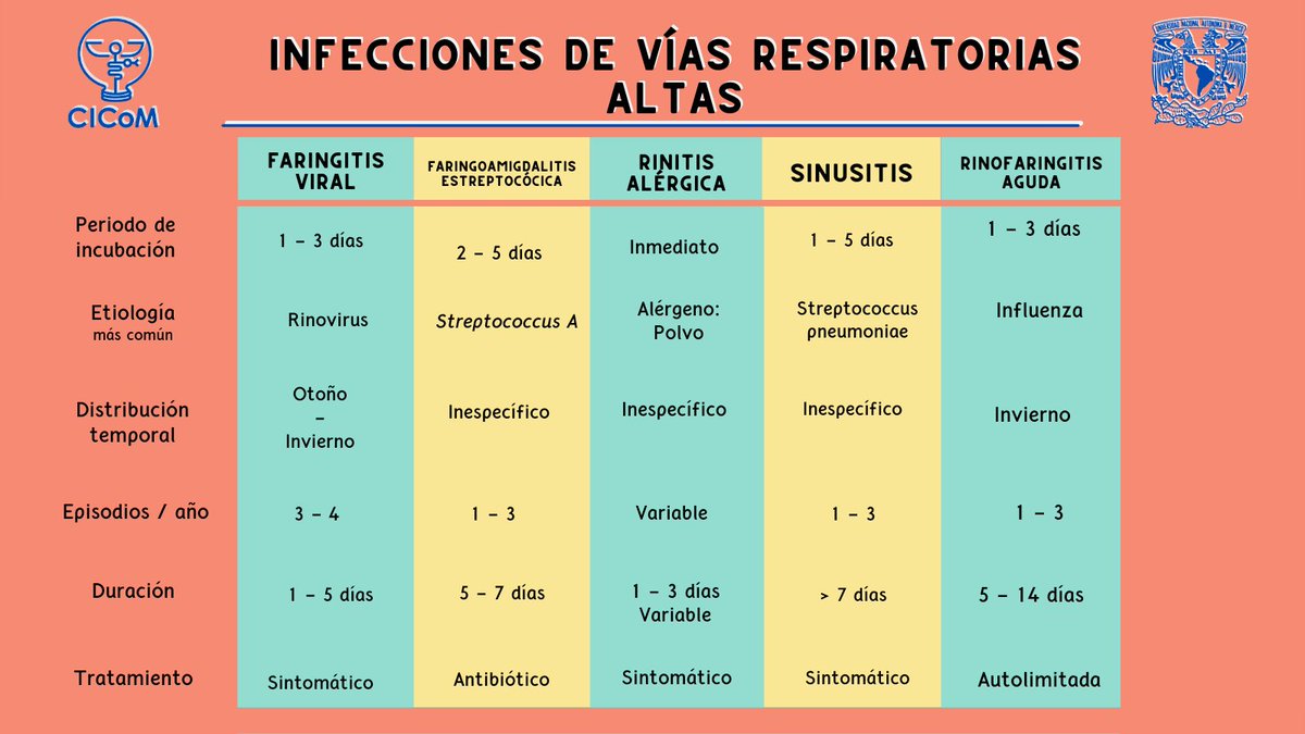 CICoMedicine's tweet photo. Los síntomas entre cada Infección de Vías Respiratorias Altas suelen ser muy similares,
sin embargo, es importante diferenciarlas para definir adecuadamente el enfoque terapéutico que se le otorgará al paciente.

#CICOM #medicine #medschool #medstudent #IVRA #Infecciones #Resumen https://t.co/ZX8EGPikpB