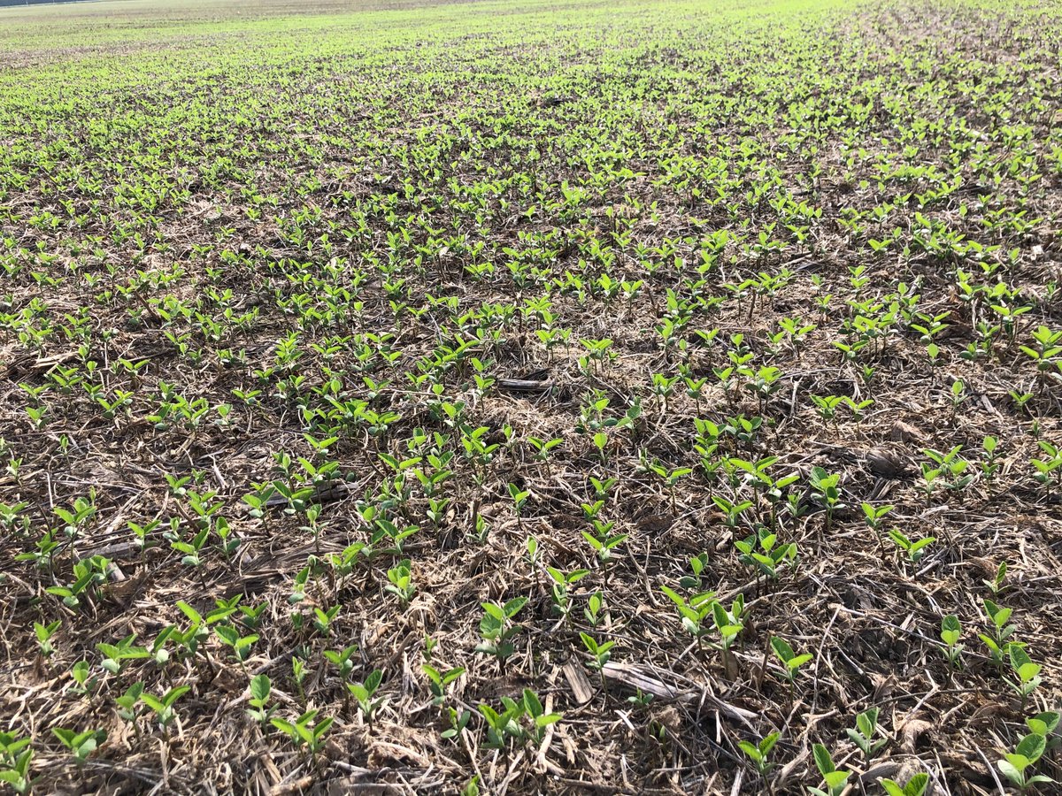 Bill Litwin tweet media