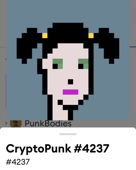 Currently searching for the perfect digital frame for my office for this punk ? https://t.co/C45ISvc