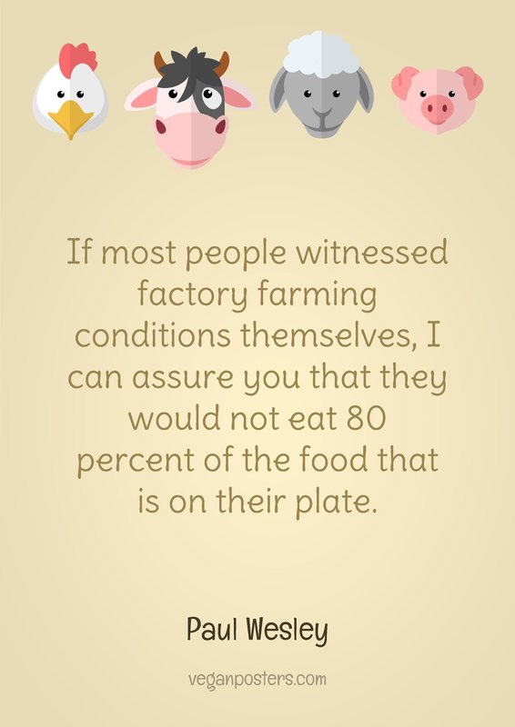 If most people witnessed factory farming conditions themselves, I can assure you that they... - Paul Wesley #vegan