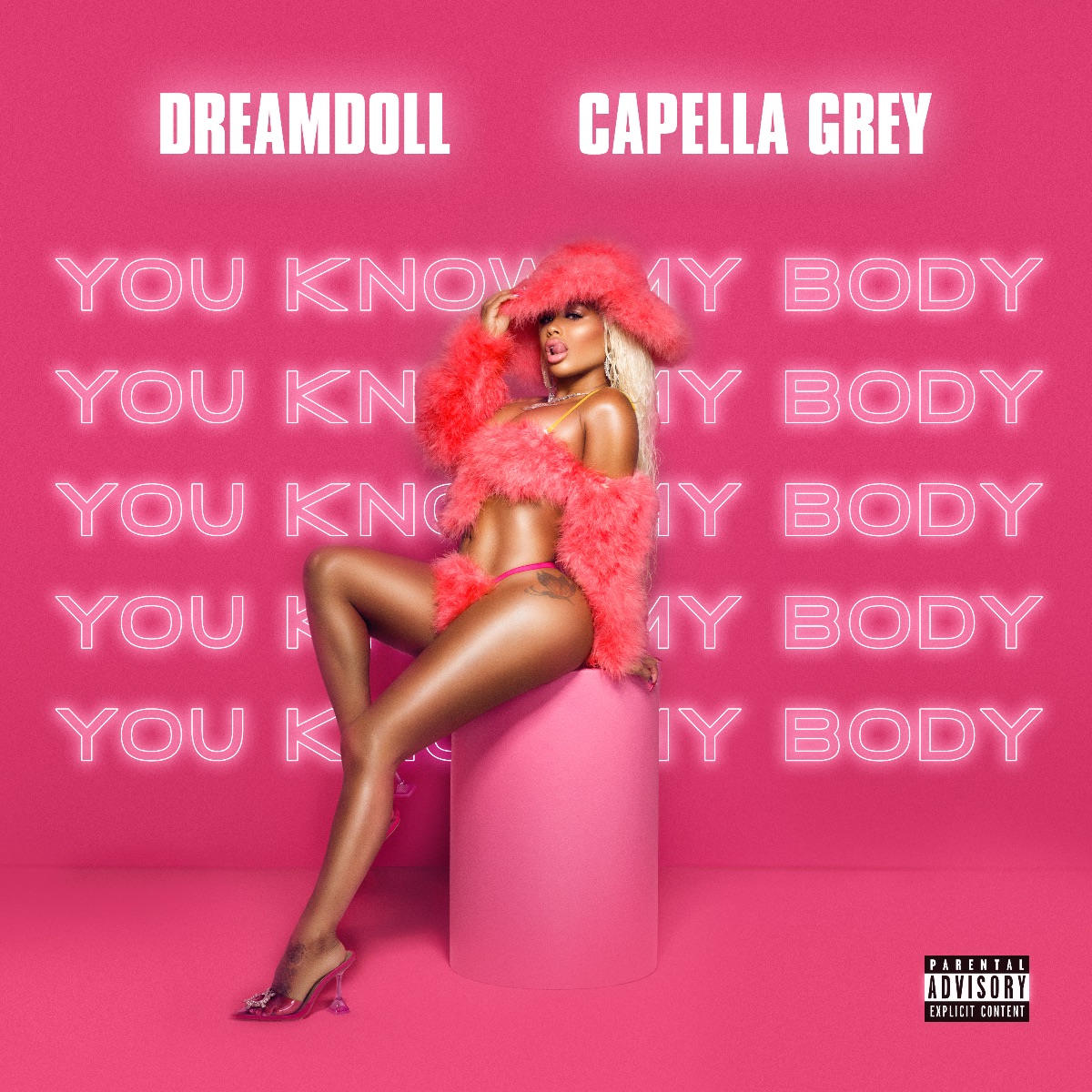 ronstew's tweet photo. NEW MUSIC: @DREAMDOLL x @CAPELLAGREY #YOUKNOWMYBODY - https://t.co/NbQ8hzgGaU https://t.co/Cj75lNGuRF