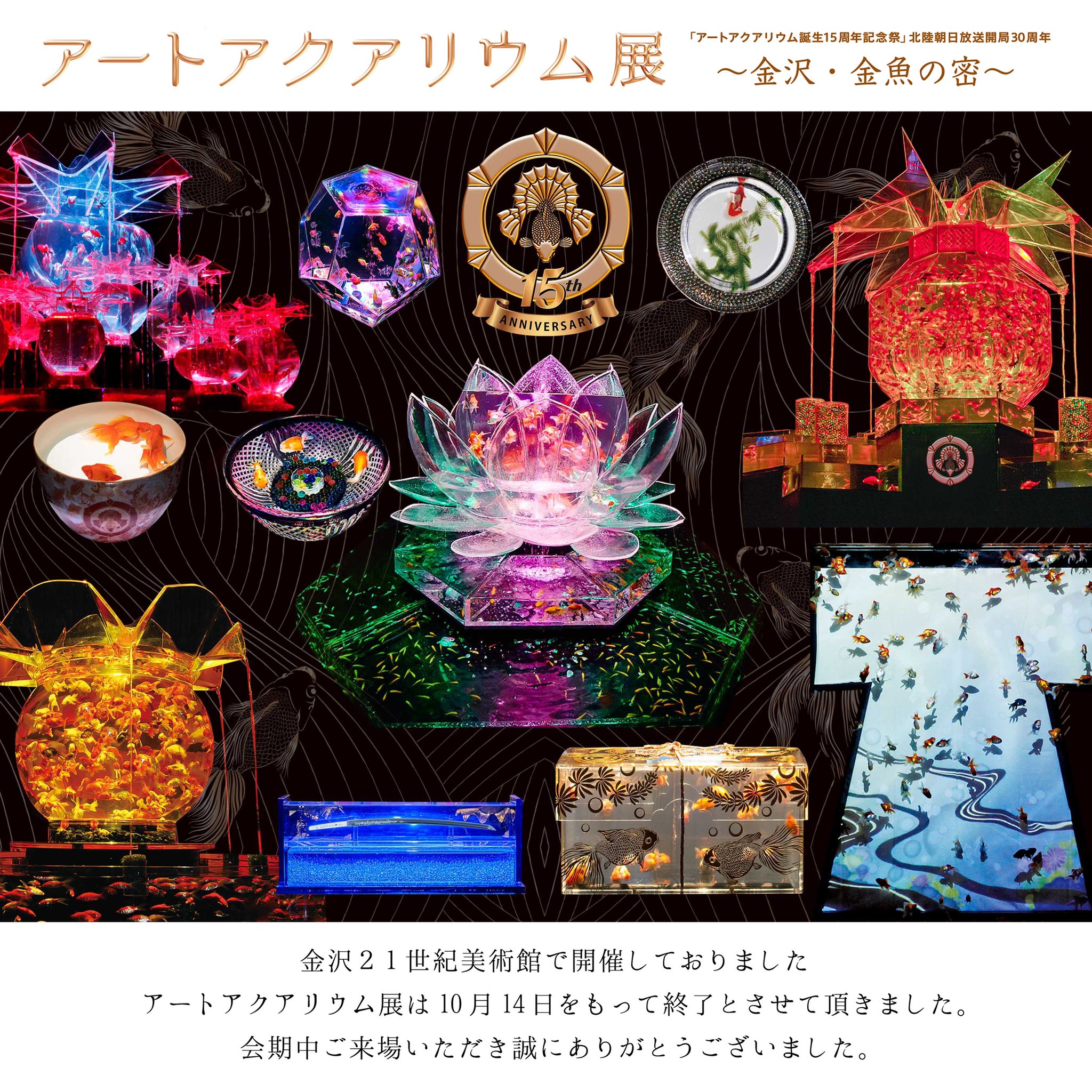 アートアクアリウム Art Aquarium Artaquarium Twitter