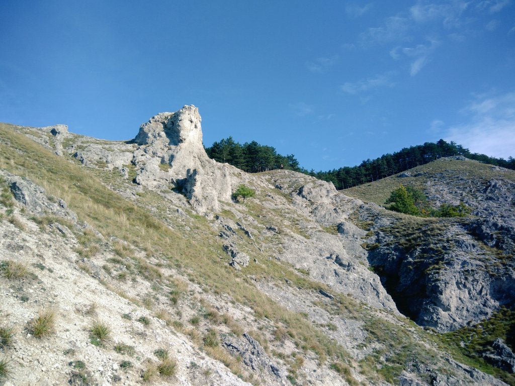 VDarmostuk's tweet photo. Searching for lichenicolous species on Solenopsora in Jelenia Hora (Slovakia) https://t.co/YfqZdwhj38