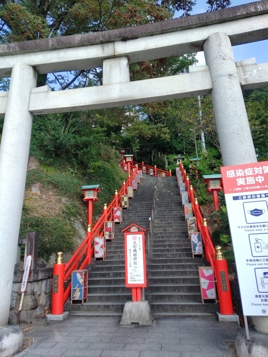 nomoto3's tweet photo. 今日は栃木県の足利市までお蕎麦を食べに行って来た。白くそうめんのように細いお蕎麦で美味しかった😋 https://t.co/iAD5i2uY0Y