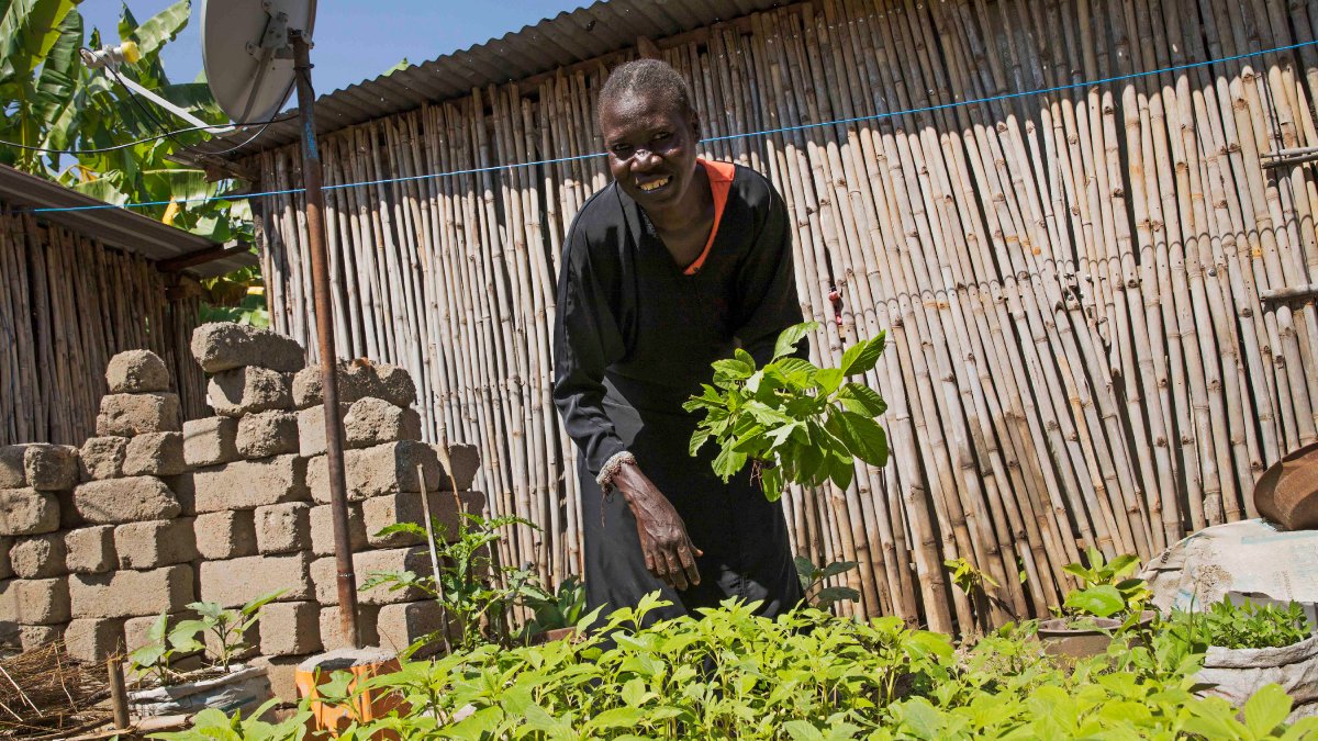 FAOSouthSudan's tweet photo. On #WorldFoodDay, @FAO &amp; partners are calling for action to ensure sufficient &amp; nutritious food is available at an affordable price to everyone, and nobody is hungry in #SouthSudan.

📰 Read our press release 👉 https://t.co/1GBVQhiSnm

@unicefssudan @WFP_SouthSudan 
#SSOT https://t.co/2iE5xhkSHI