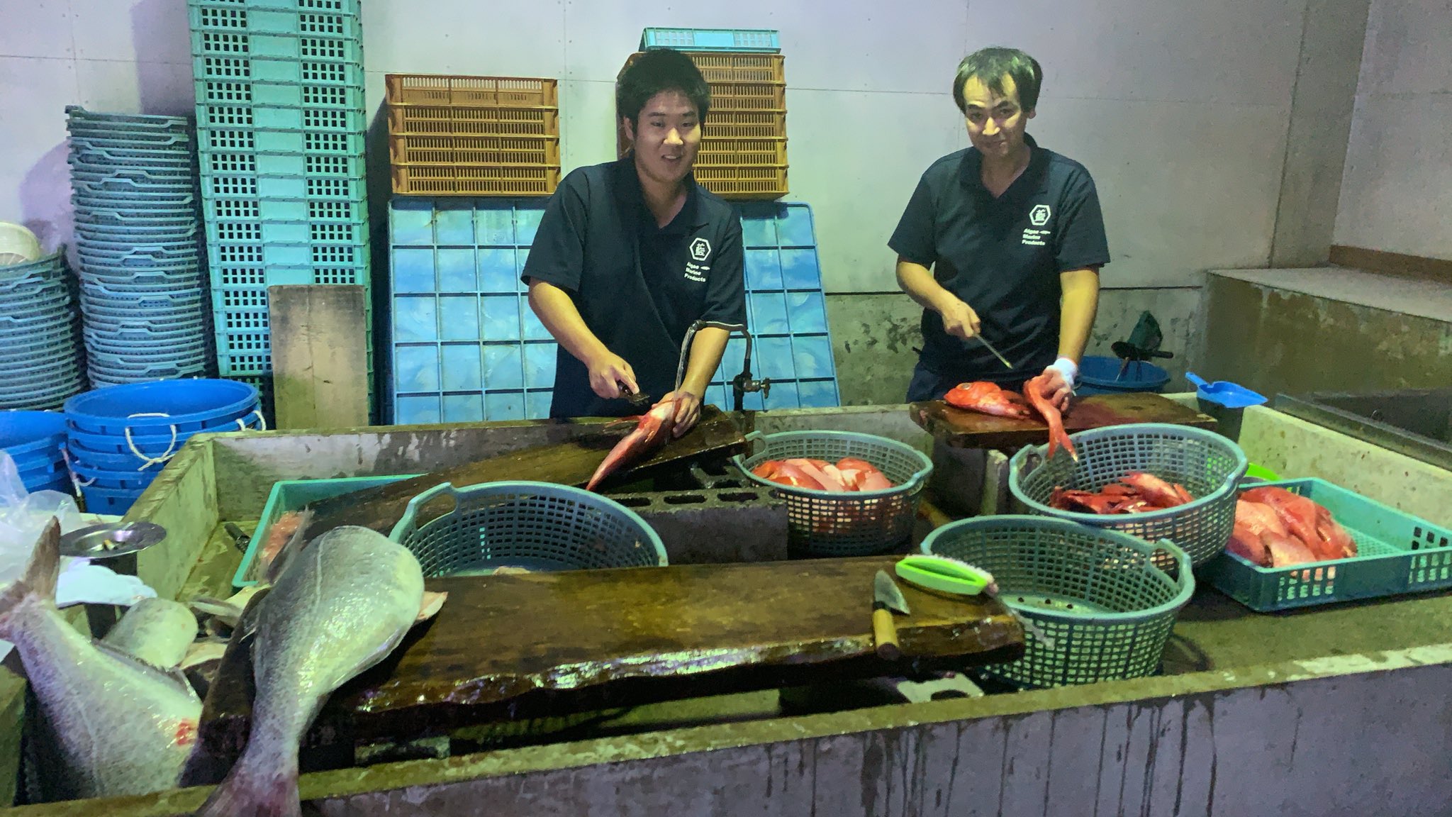 Tweets With Replies By 藍ヶ江水産 地魚干物食堂 Aigaesuisan 8jo Twitter