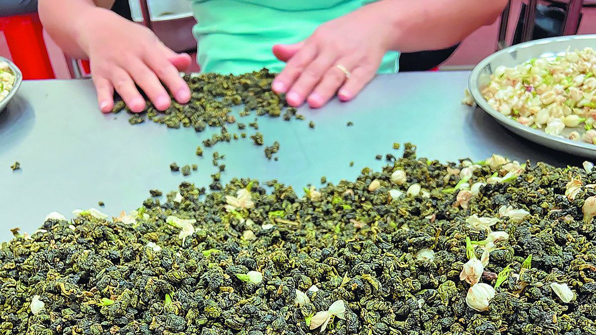 Taiwan_Review's tweet photo. With its abundant sunshine and sandy soil, central #Taiwan’s🇹🇼 #Changhua County provides ideal conditions for cultivating jasmine. The local farmers’ association plays a central role in developing the industry by promoting eco-friendly farming practices. ▶️https://t.co/WXlEPQ1flx https://t.co/005j8et02K
