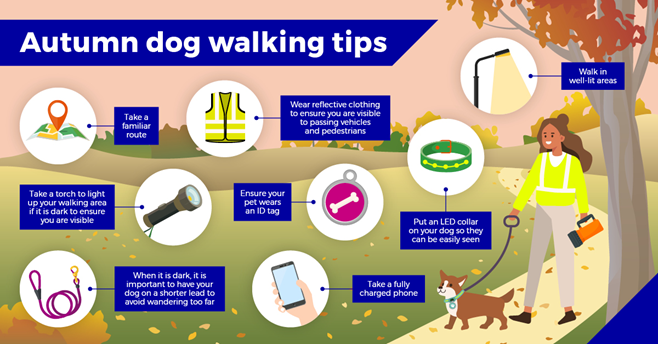 Here are some top tips for ensuring your dog walking adventures are safe this autumn 🍂🐕

ow.ly/8lUj50GrNTD