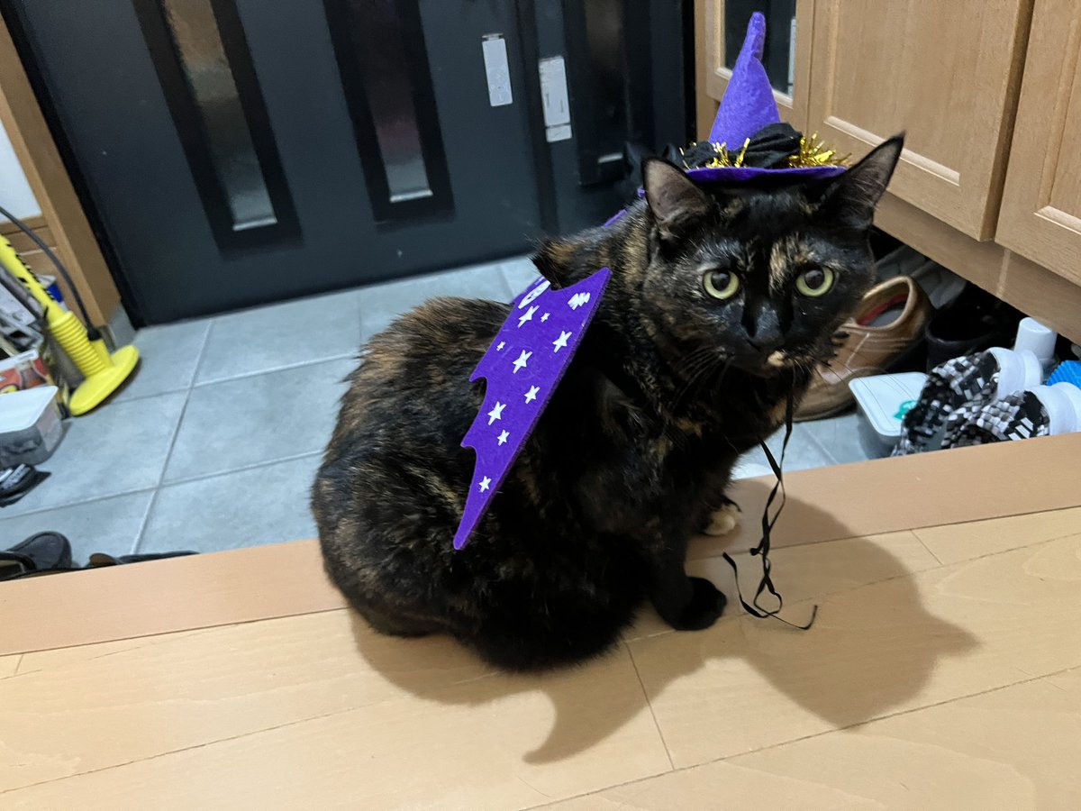 スケアクロウハロウィン - بحث في تويتر