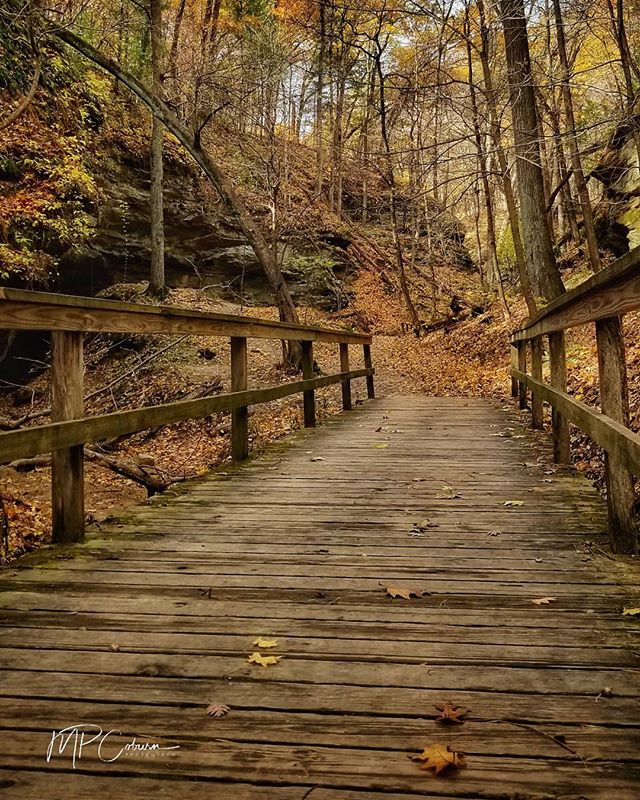 iowadnr's tweet photo. Packed with historical, geological and natural wonders, Wildcat Den State Park near Muscatine has surprises around every bend. 

Here's 7 of the best from park staff: https://t.co/6YOHKiFUwT

📷: MP Coburn

#IowaStateParks #ThisIsIowa #FallInIowa https://t.co/G9IZ6yBwY8