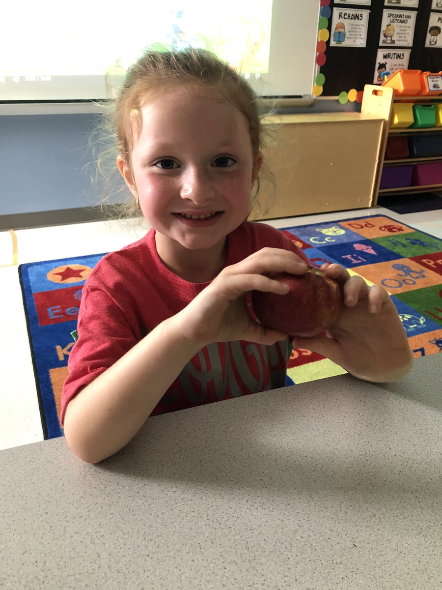 Sarah Mattingly tweet media