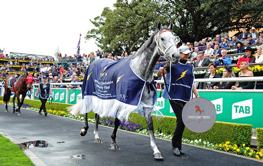 LisaGrimm9's tweet image. The mighty grey flash leads the field around the theatre of the horse and onto the track pre #TABEverest 2018.
🔴 The winner for the 2nd year running was #Redzel seen here following behind the champ !
#CHAUTAUQUA ⚡️
#FlashbackFriday #fbf