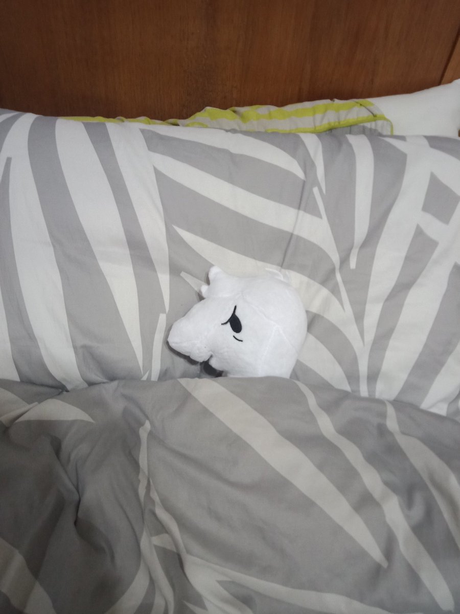 This little gremlin finally arrived today, he's a little tired from his trip to Australia so he took a nap <a href="/OneyPlays/">Oney Plays</a> <a href="/psychicpebble/">zach</a>