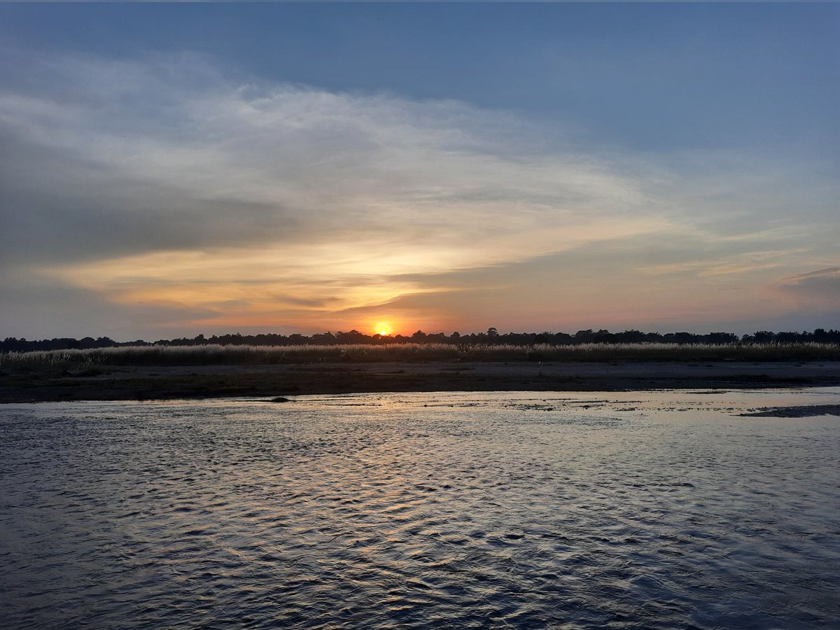 sciphi_Ananya's tweet photo. Nothing is as beautiful as watching the sunset across the river and witnessing a flock of #kaashphool which means the onset of sharat kaal and hence with this wishing everyone Shubho Bijoya and Dussehra #Assam #Dhansiri #Autumndays #Festivetime #Localtourism https://t.co/DfcDHJGqHk