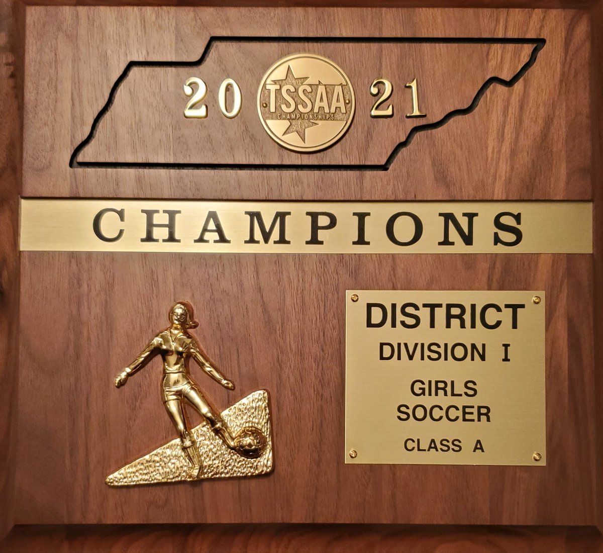 For the first time in school history, your Lady Redskins are District Champions! Great team effort &amp; impressive resiliency to overcome the adversities tonight, winning 2-0. Goals by Destiny Robinette &amp; Kaela Correa. Current record is 16-1-1.