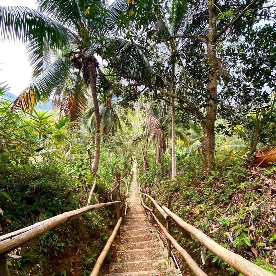 VisitaJamaica's tweet photo. #MayfieldFalls es un tesoro escondido ubicado en Glenbrook, Westmoreland justo por las colinas de Hannover. Vive una aventura dentro de un paisaje montañoso que te guiará por los manantiales naturales.
#VisitaJamaica #VenProntoAJamaica #LatidoDelMundo
Pc: @jamaican_insider https://t.co/u388TmF0jX