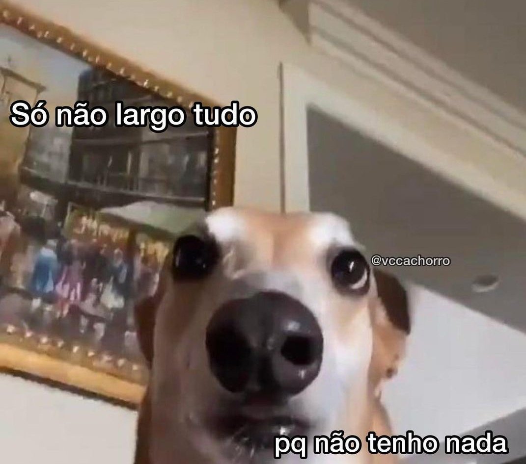 Isadoracpassos's tweet photo. Tô assi, juro https://t.co/F0vfrBMHRE