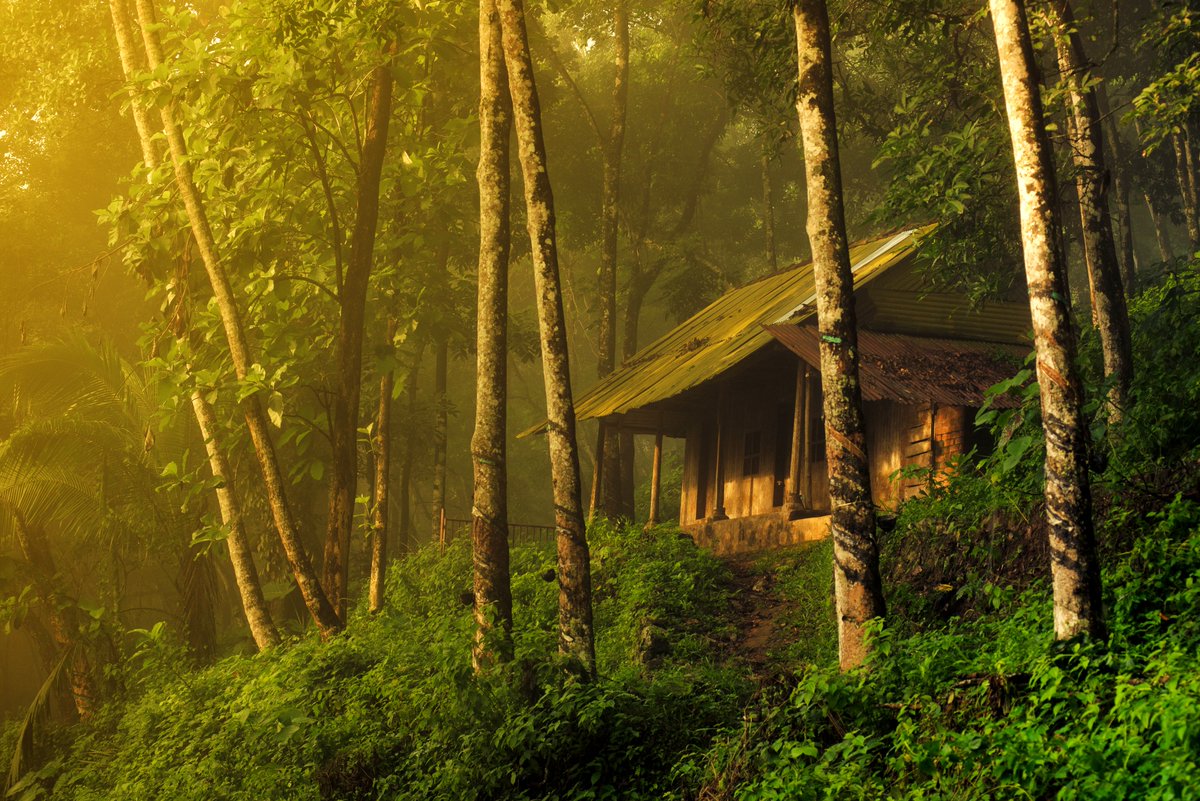 maneshclicks's tweet image. My landscapes available in Opensea
Culmination of 12 years of visiting the Western Ghats in India
Starting 0.05 $ETH
opensea.io/collection/gol…

#NFT #NFTs #NFTCommunity #nftphotography #nftphotography @opensea