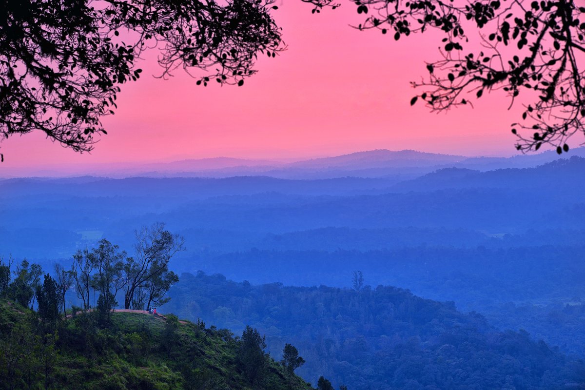 maneshclicks's tweet image. My landscapes available in Opensea
Culmination of 12 years of visiting the Western Ghats in India
Starting 0.05 $ETH
opensea.io/collection/gol…

#NFT #NFTs #NFTCommunity #nftphotography #nftphotography @opensea