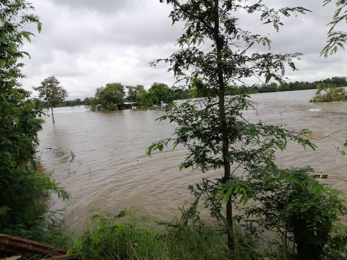 กรมป้องกันและบรรเทาสาธารณภัย (ปภ.) tweet media