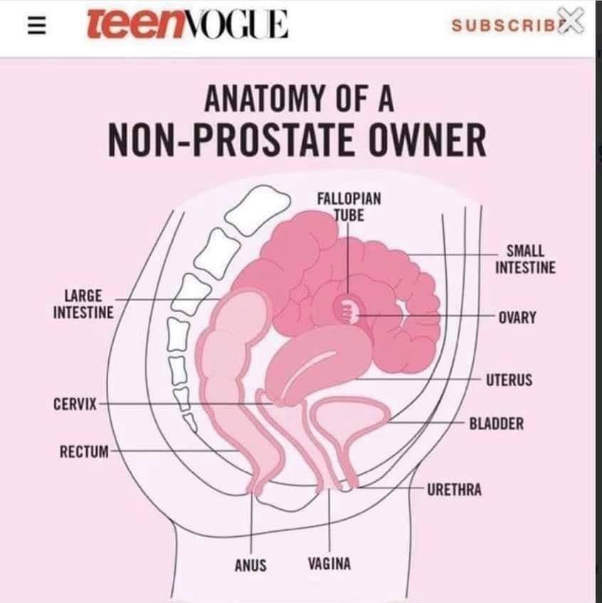 Transgender activists are so confused about what constitutes a woman, that they have actually stopped using the word 'woman' entirely and are now referring to women as...NON-PROSTATE OWNERS.

Wokeness doesn't just 'deconstruct' womanhood...it erases women altogether.