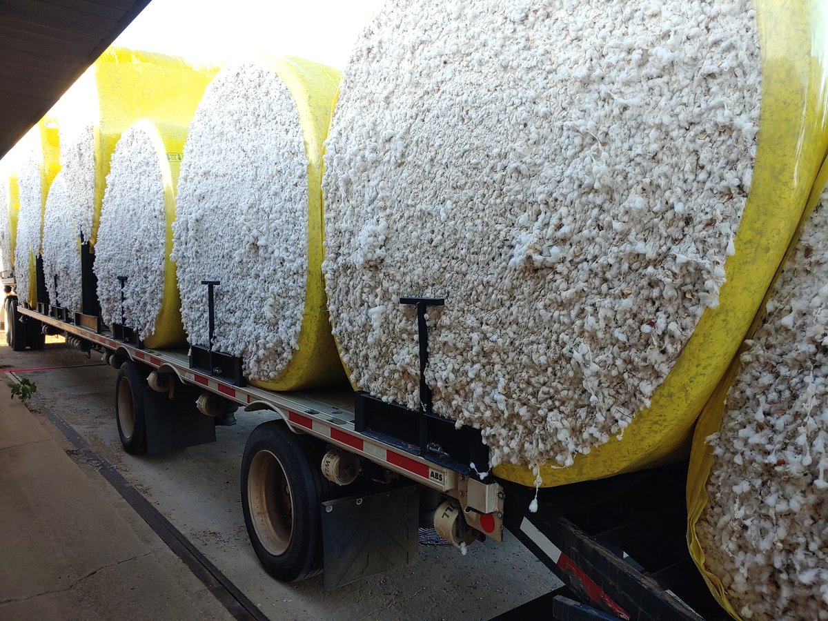2021 cotton rolled in today! 

#cotton21 #harvest21 #ginningseason #fabricoflife