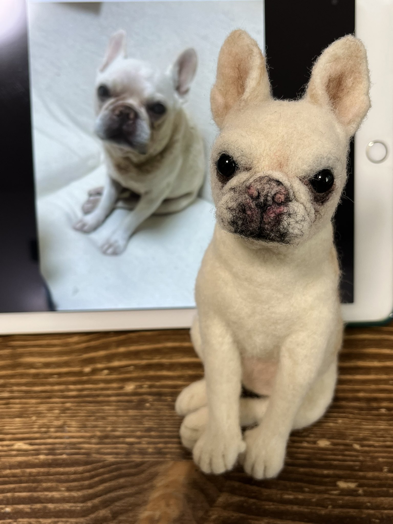 羊毛フェルト作家 めれんげど る 愛犬そっくり S オーダー作品 フレンチブルドッグちゃん 毛色とグラデーション肉球 尻尾 と外見をリアルに再現すると共に この子の懐っこい人柄 犬柄 を表現出来る様に笑顔でお作りしました 本日送り出しました